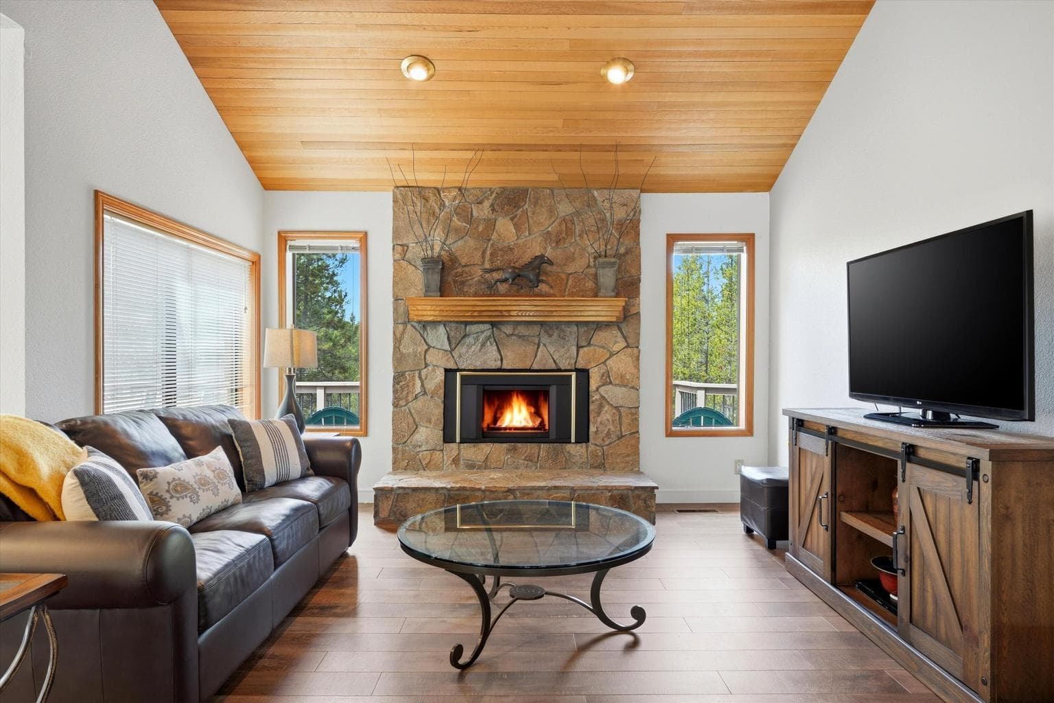 Photo of 57583 White Elm 3 of 34