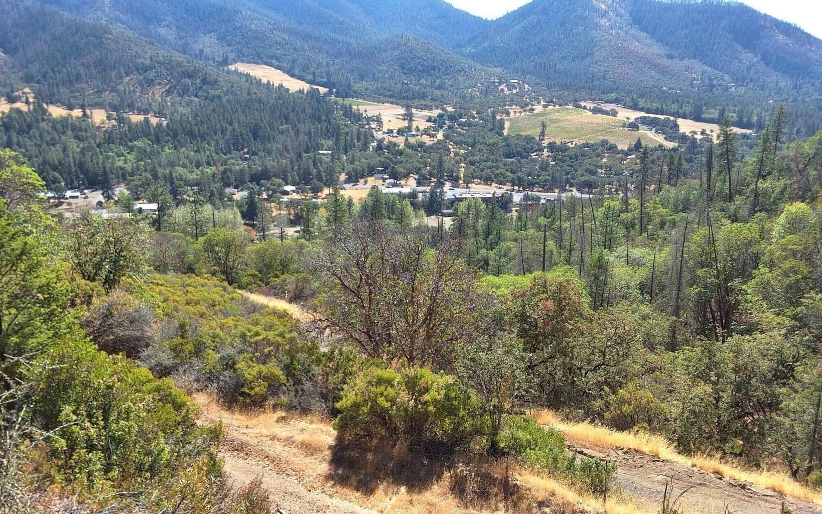 Photo of China Gulch 2 of 40
