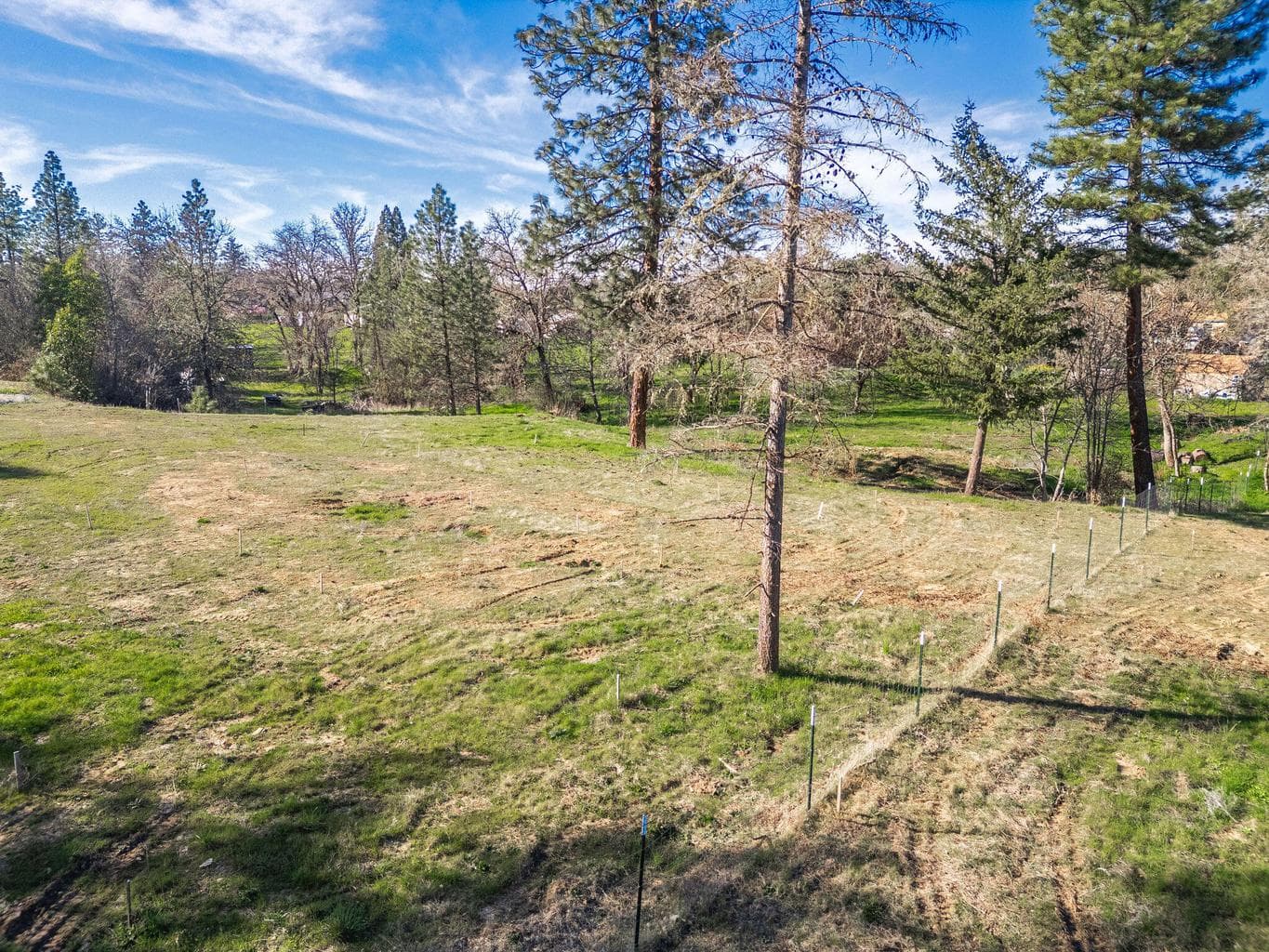 Photo of 5017 Lane Creek 2 of 25