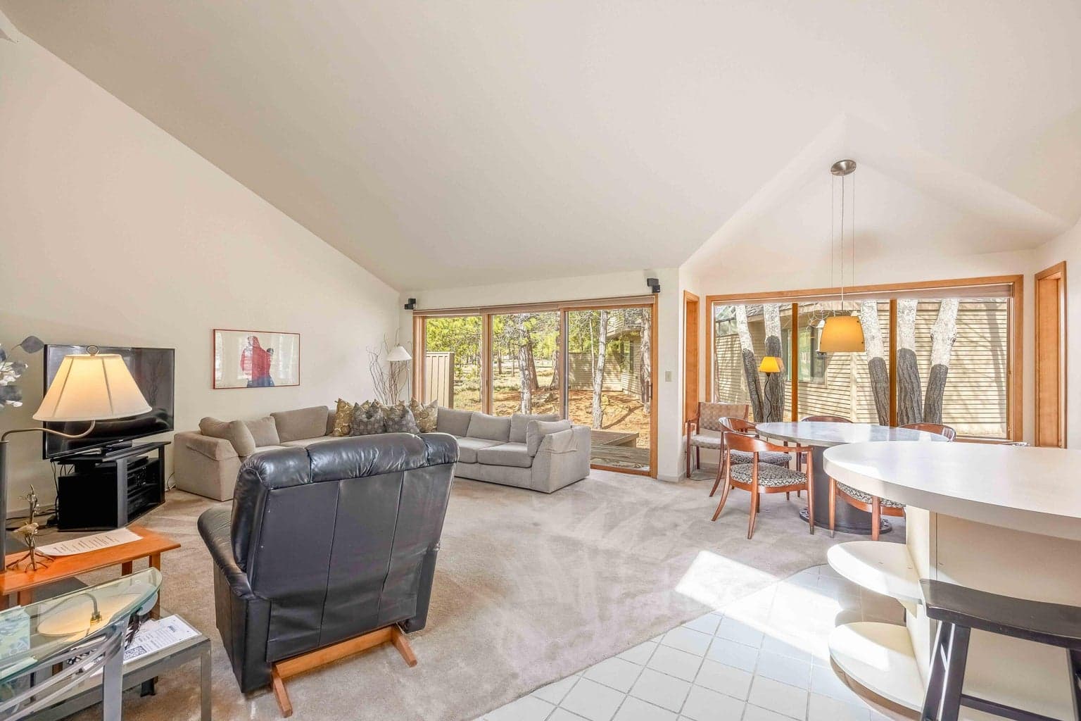 Vaulted Great Room