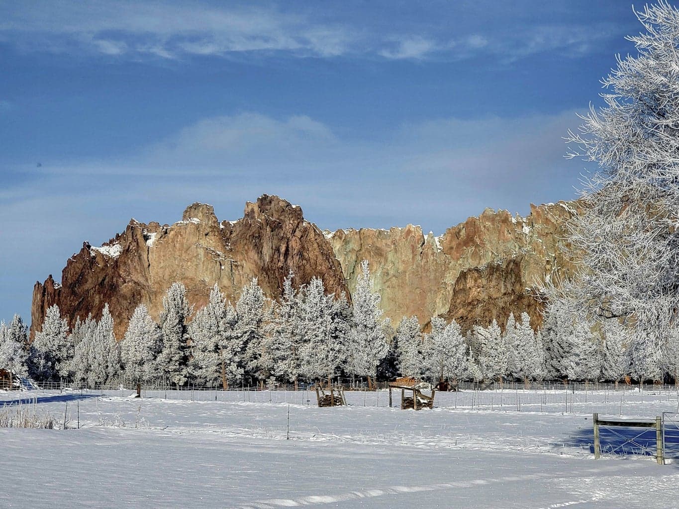 Photo of 2305 NE Wilcox Avenue 59 of 70