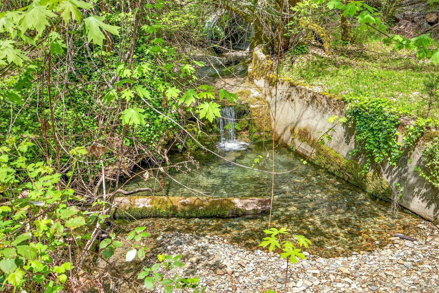 Photo of 9105 Evans Creek 3 of 48