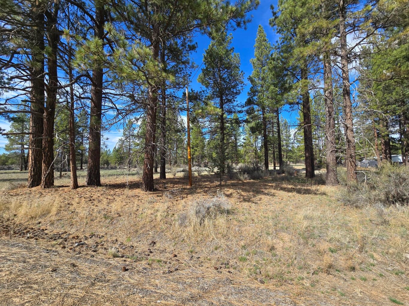 Photo of Keno Springs 5 of 11