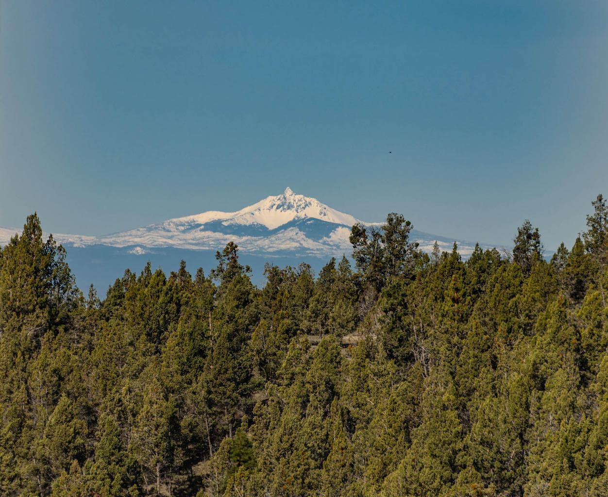 Photo of 7201 NE Johnson Creek Road 51 of 54