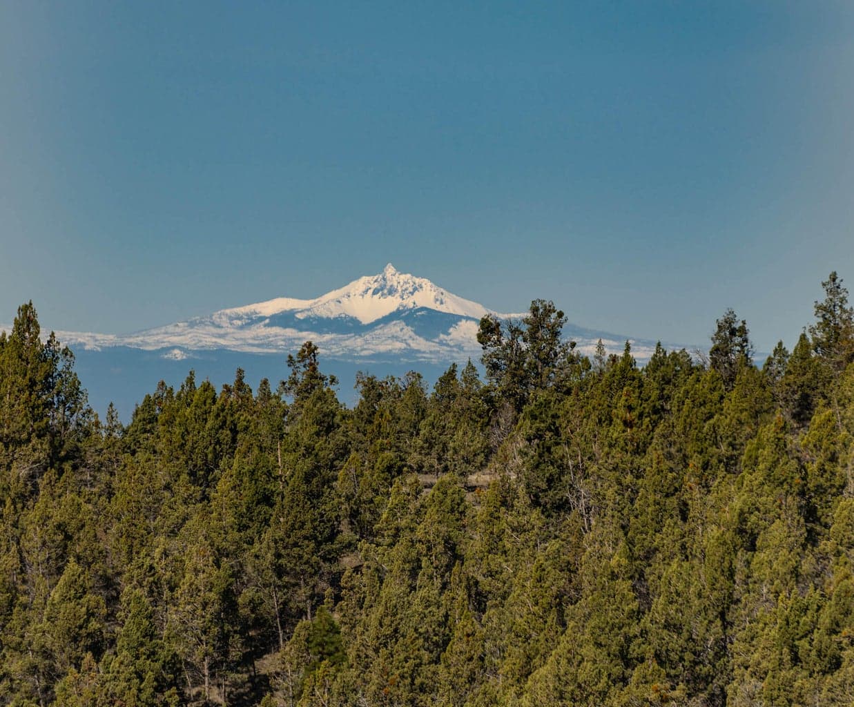 Photo of 7201 NE Johnson Creek Road 32 of 54