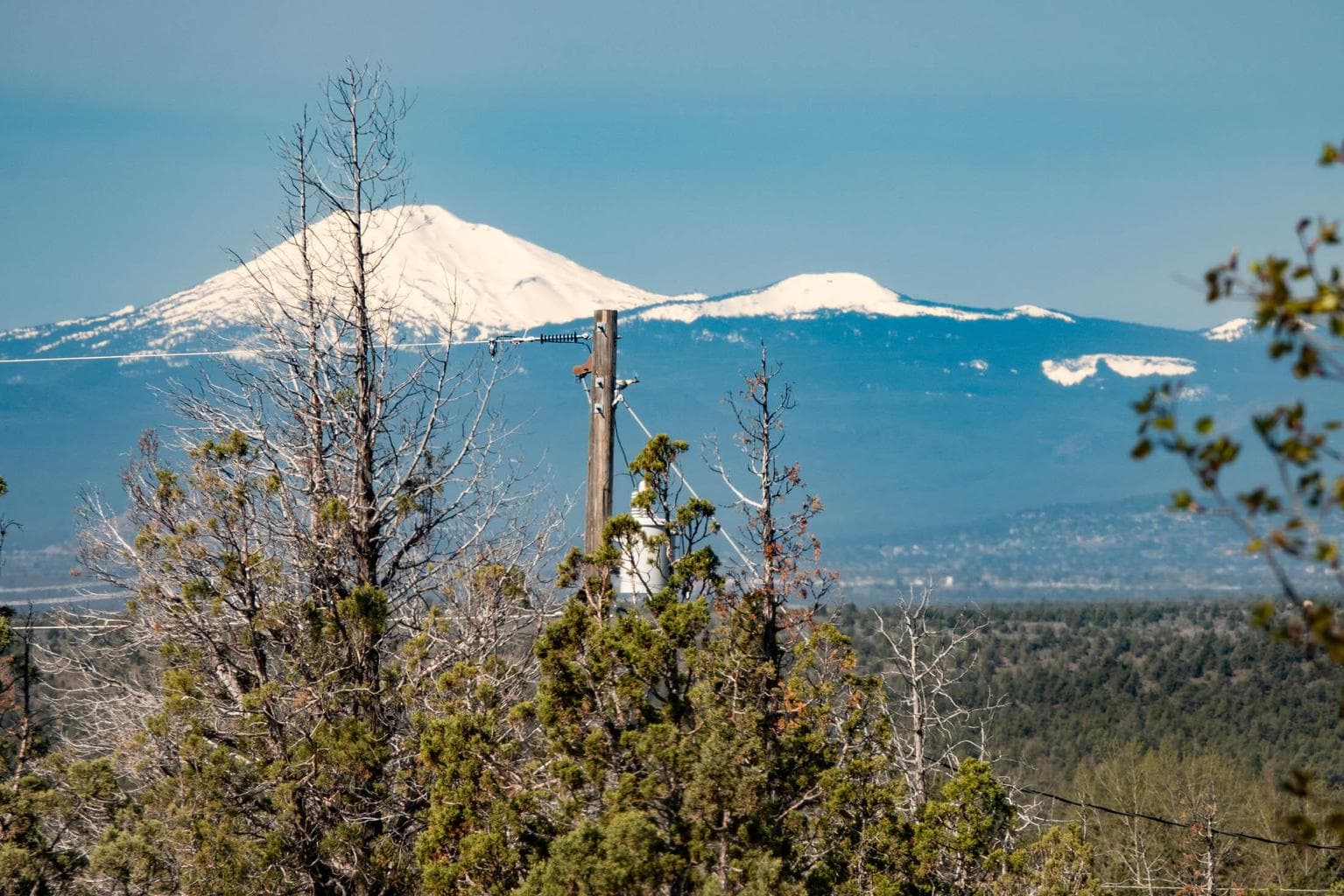 Photo of 4590 SE Wampum Road 66 of 82