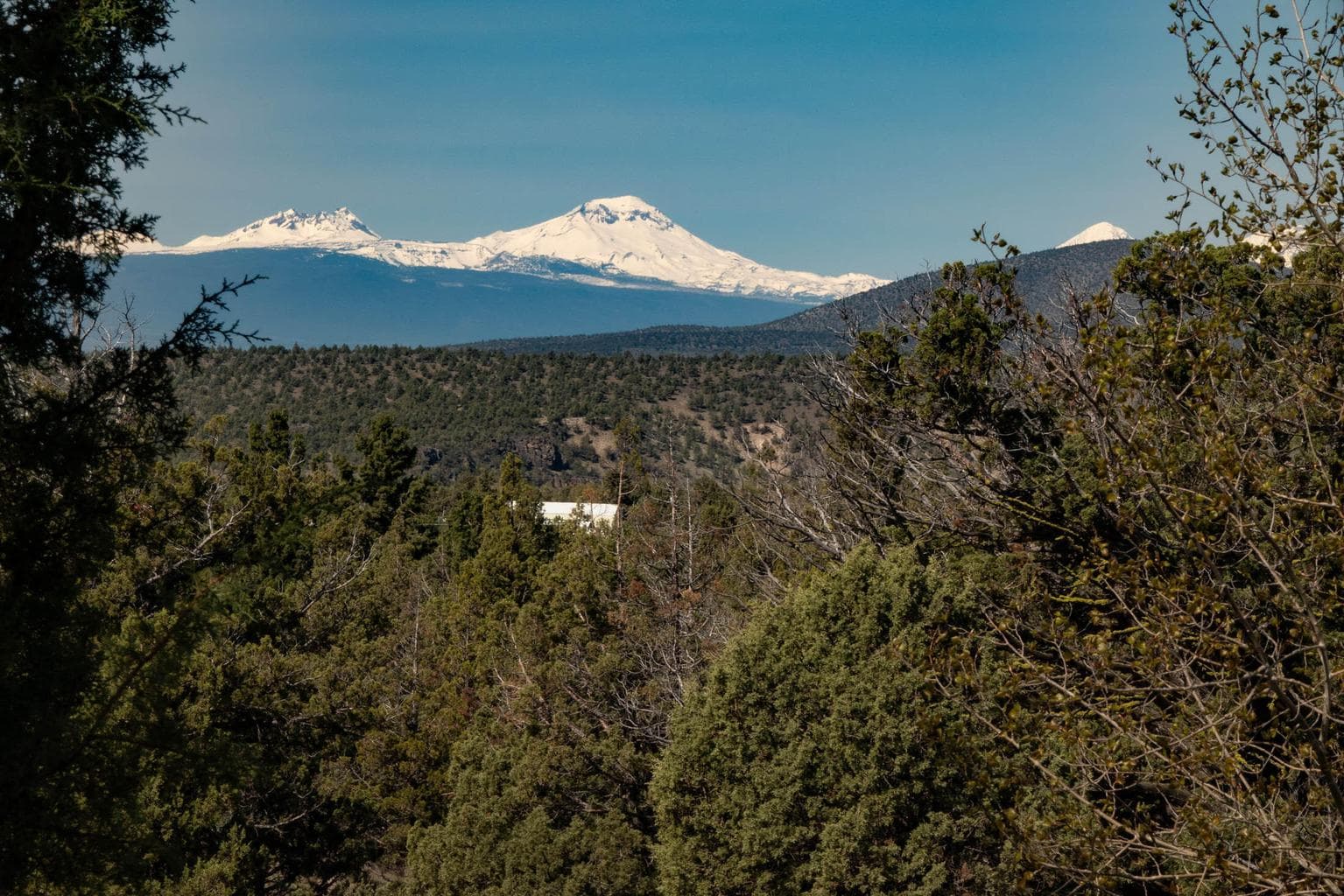Photo of 4590 SE Wampum Road 80 of 82