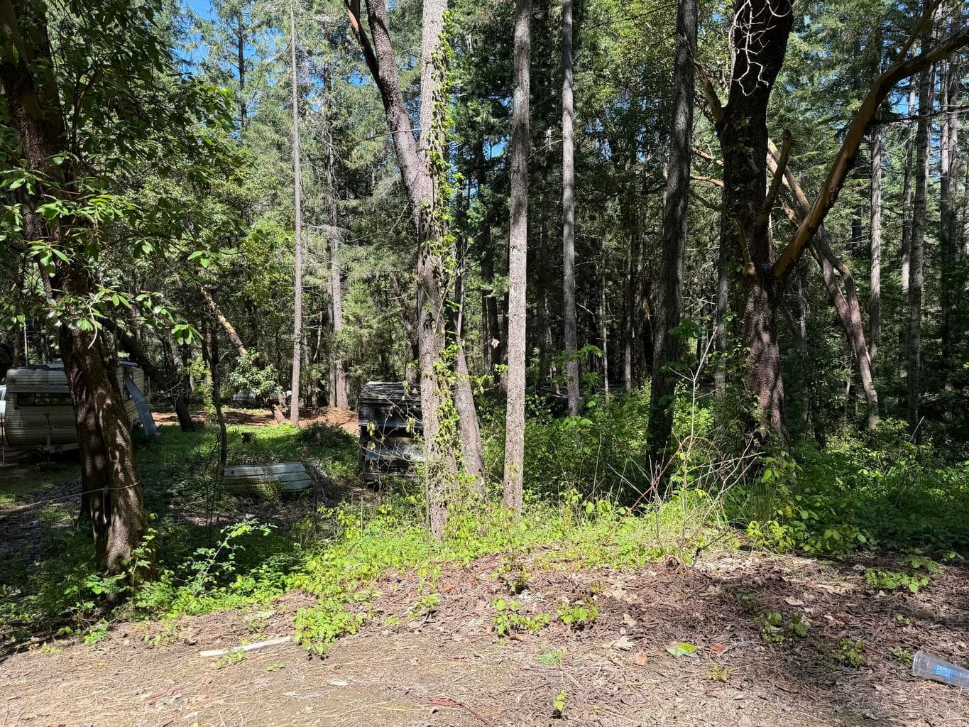 Photo of Sunny Valley 1 of 7