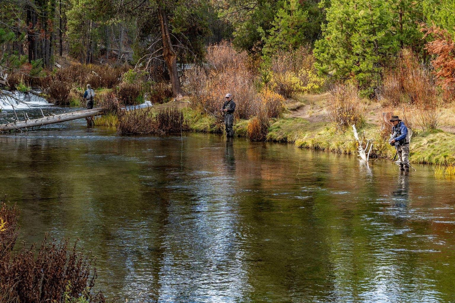 Photo of 15003 River Loop 3 of 27