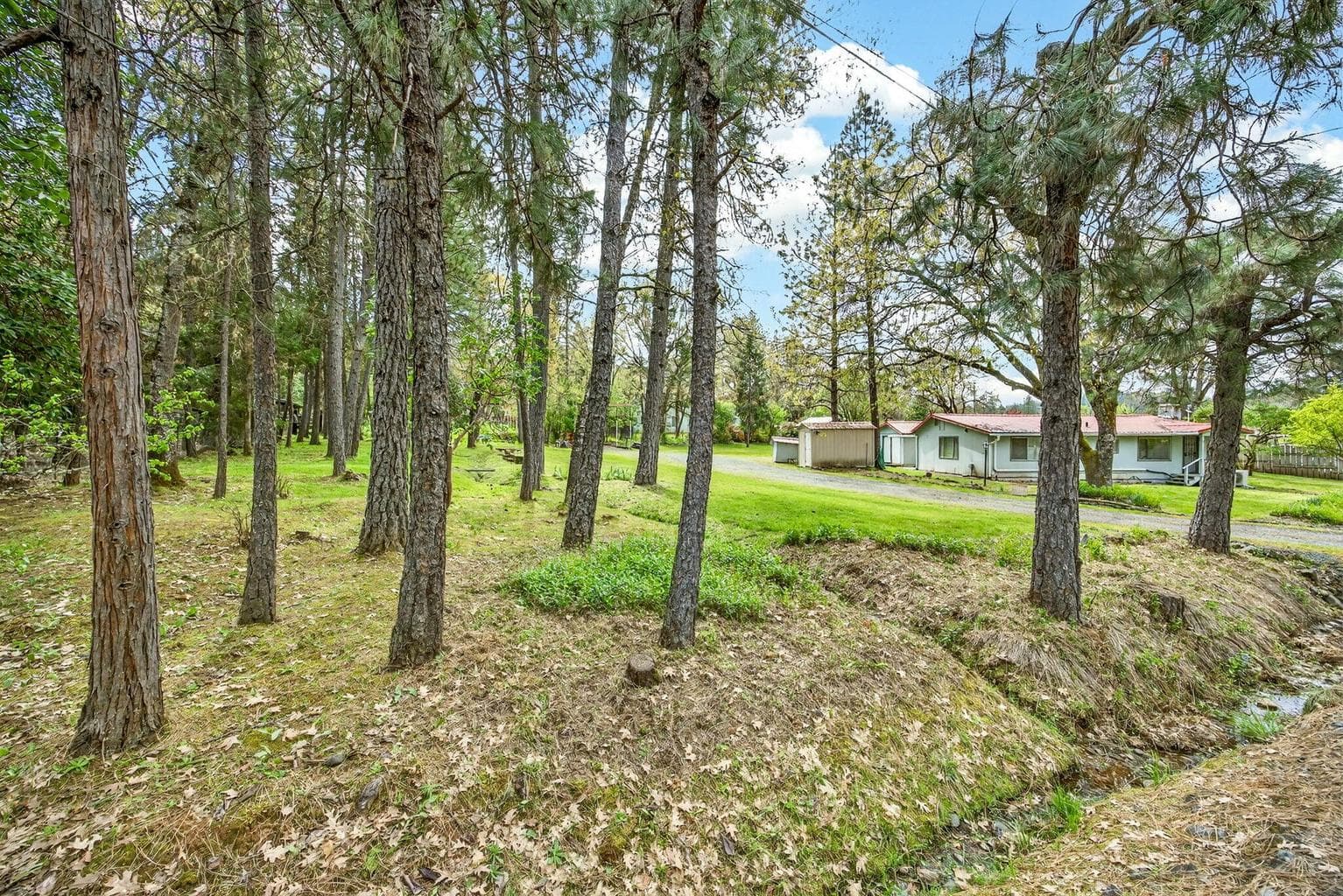 Photo of 135 Frankham 1 of 36