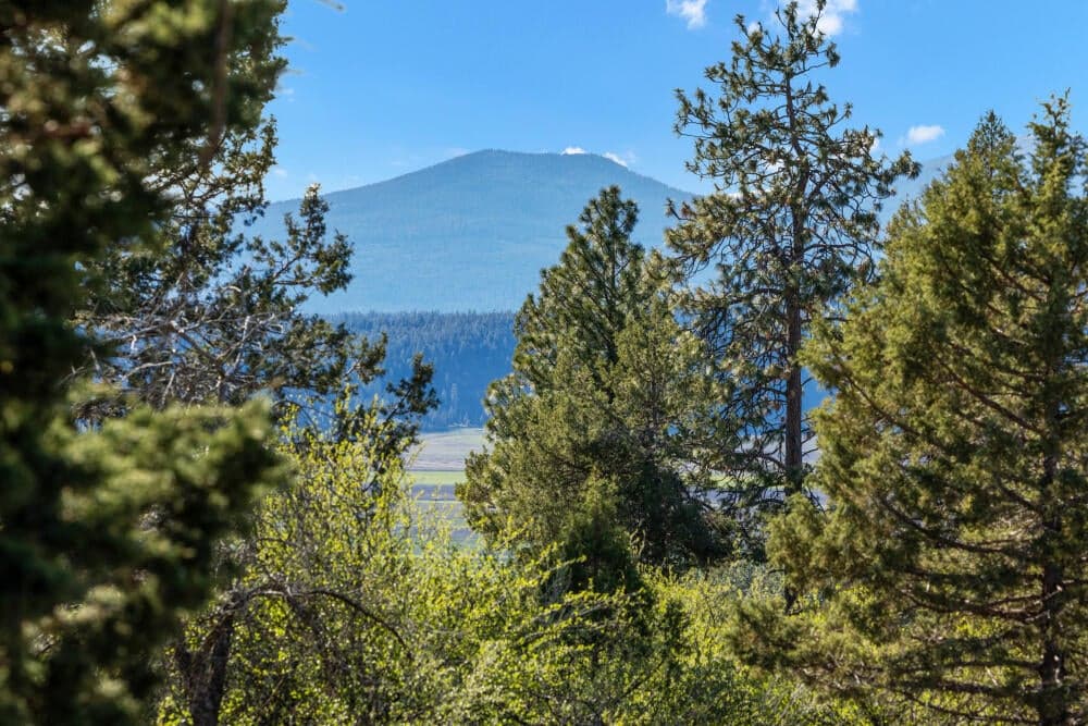 Photo of 856 Beattys Butte 5 of 10