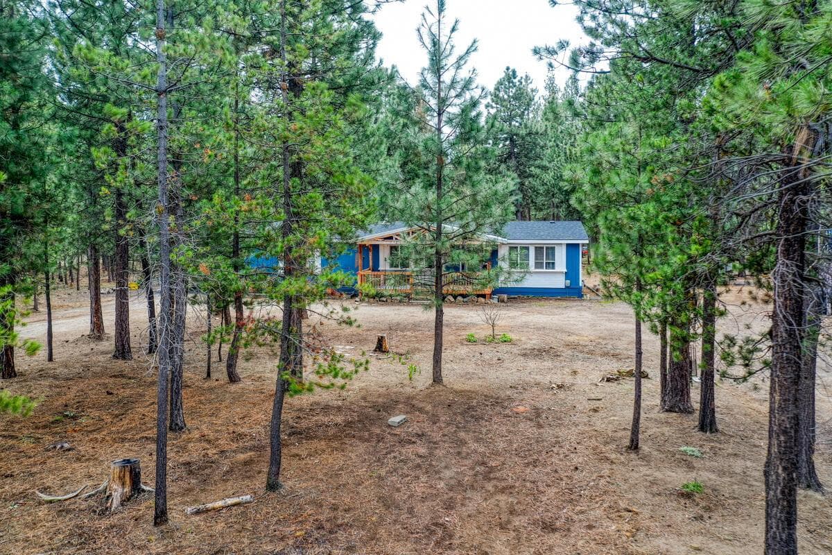 Nestled in the trees