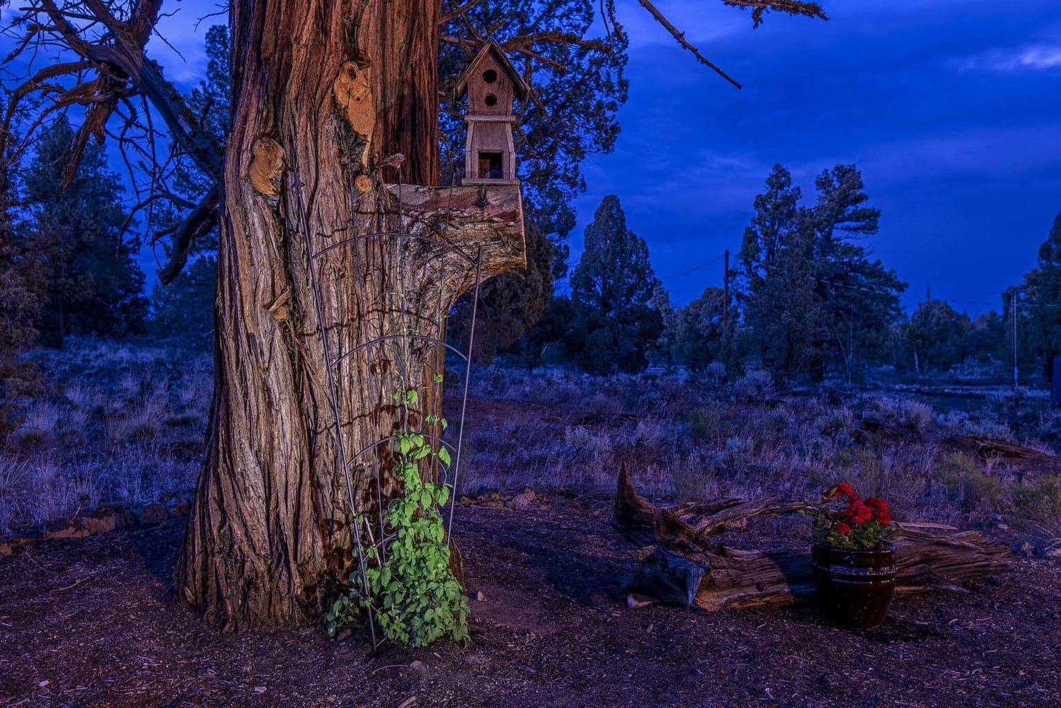 Photo of 63170 Fremont Road 43 of 43
