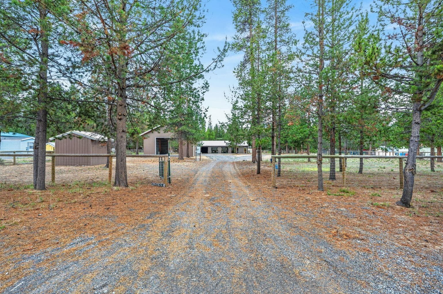 52628 Ammon
