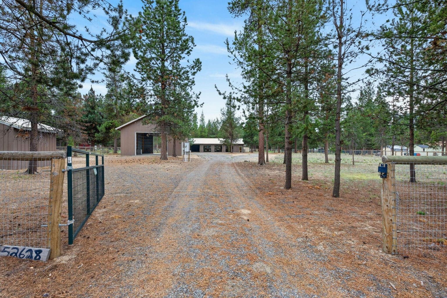 Photo of 52628 Ammon 2 of 38