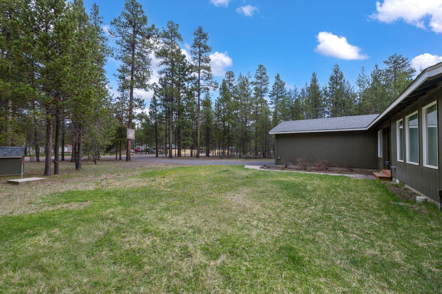 Photo of 16053 Snowberry 2 of 35