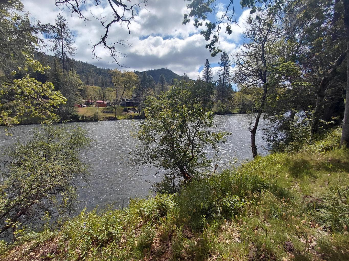 22266 Highway 62, Shady Cove, 97539