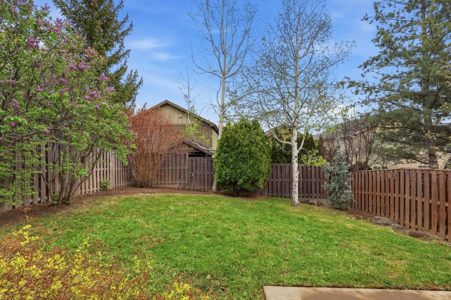 Fully fenced landscaped backyard