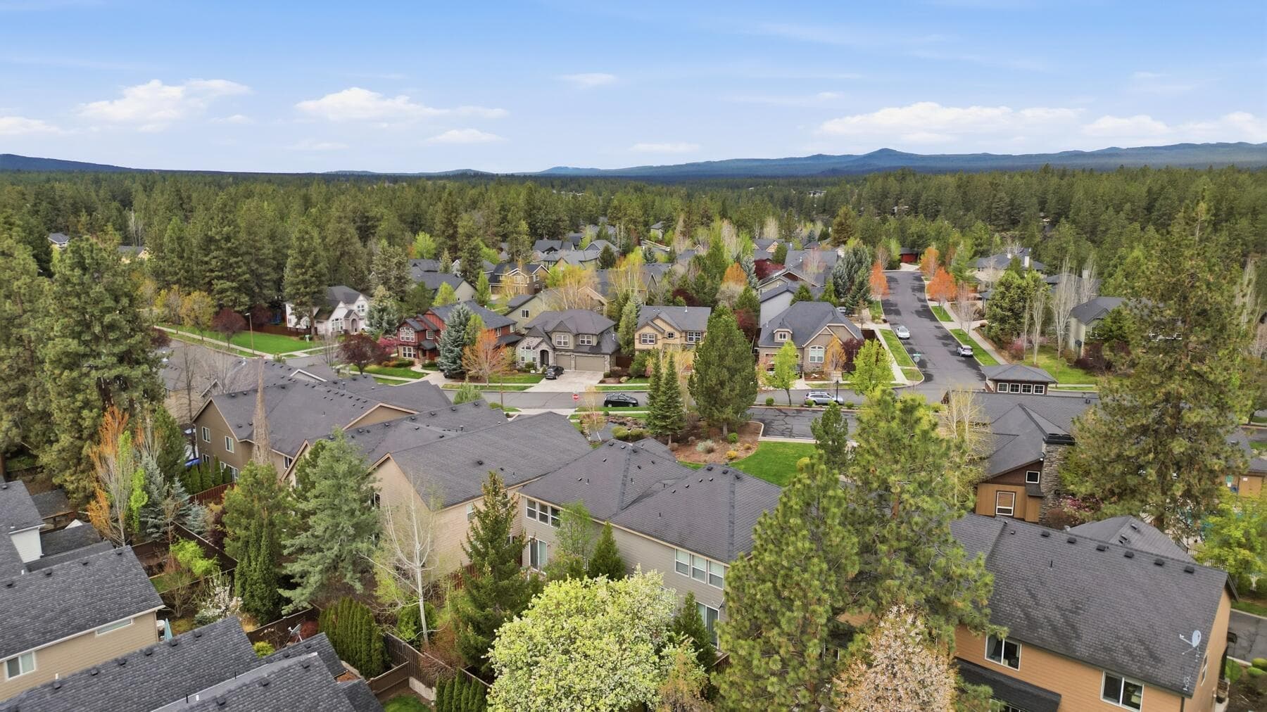 61156 Foxglove Loop