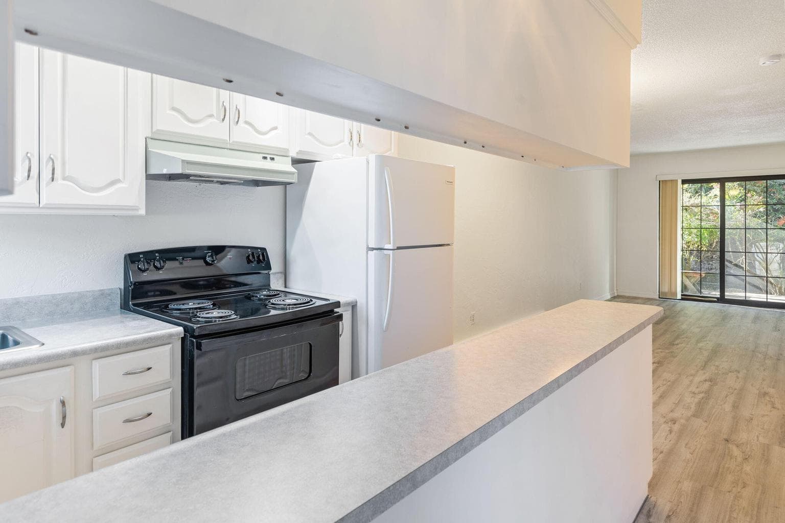 Photo of 495 Chestnut 3 of 25