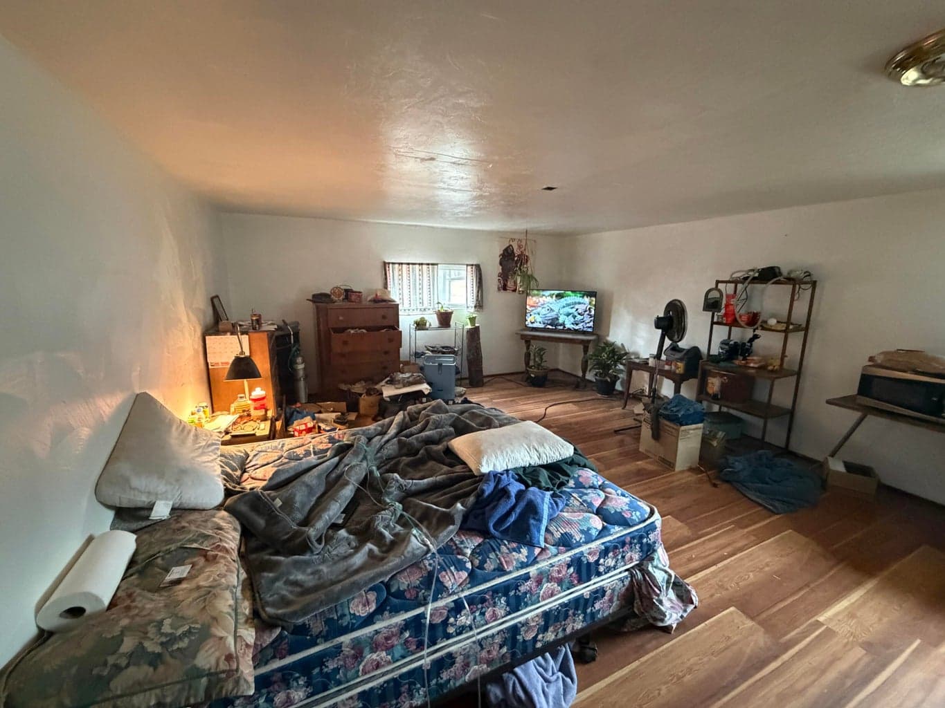 Photo of 137003 Main 5 of 19