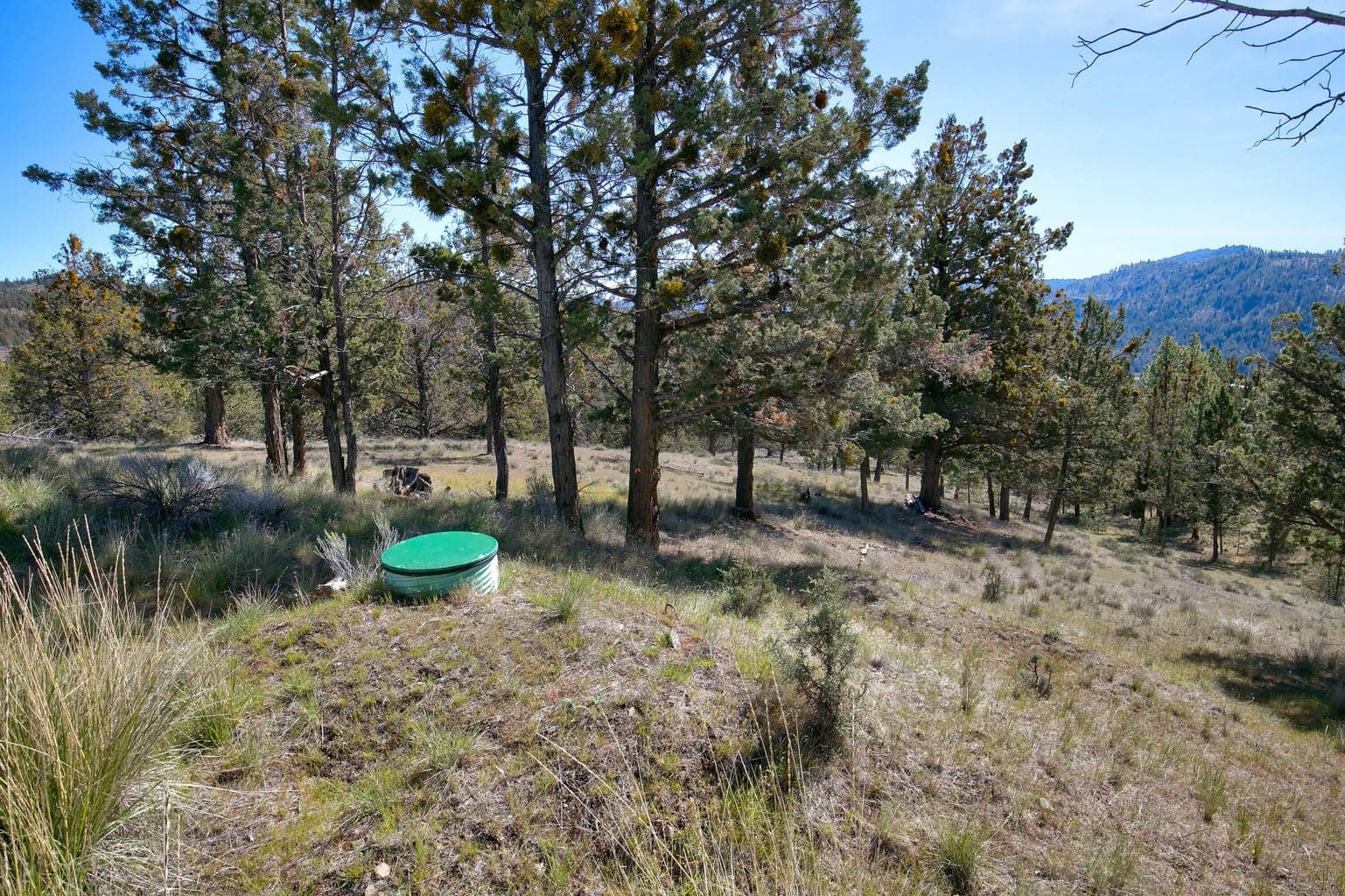 Photo of 15315 NE Schneider Way 11 of 23