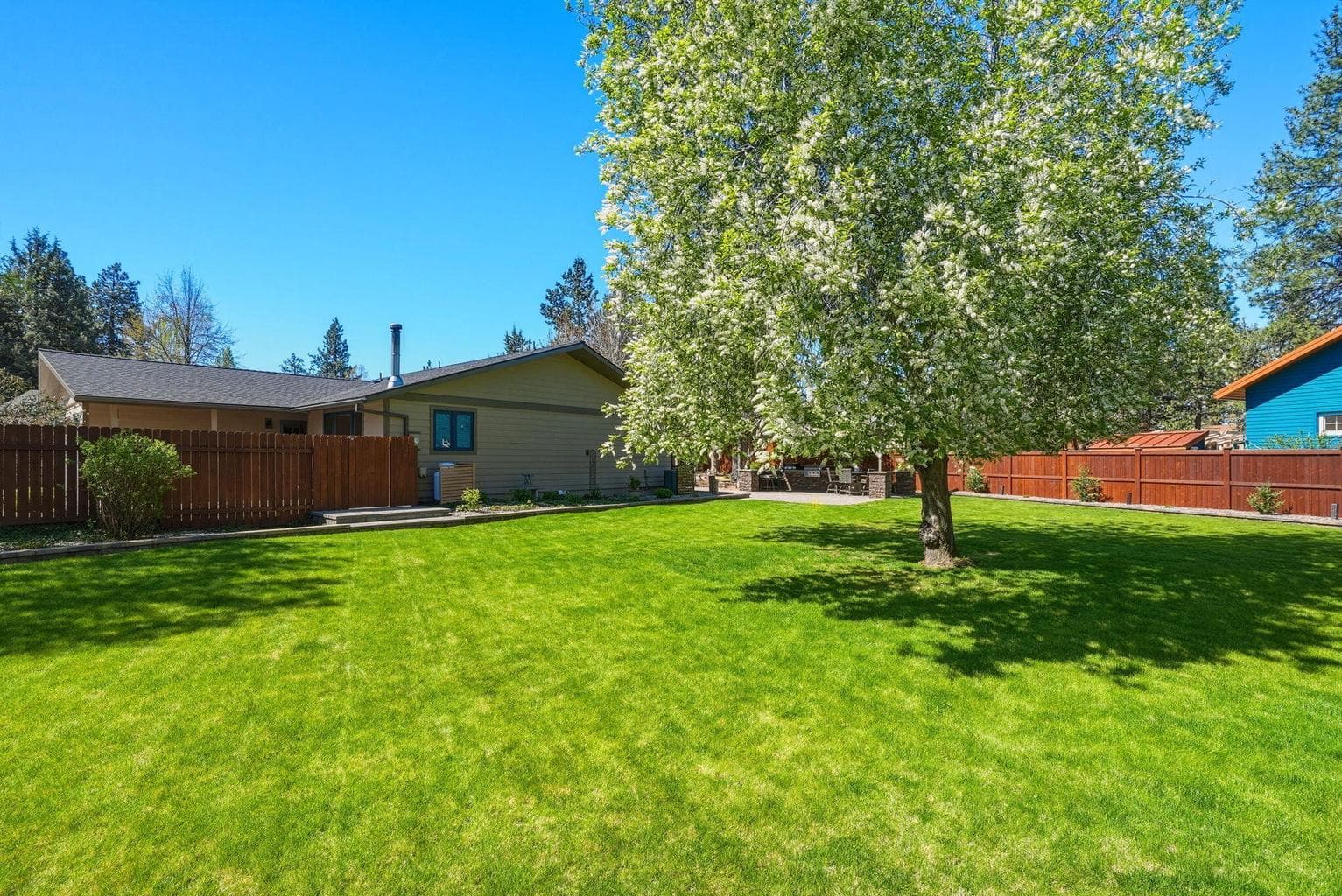 Photo of 61605 Summer Shade 2 of 64