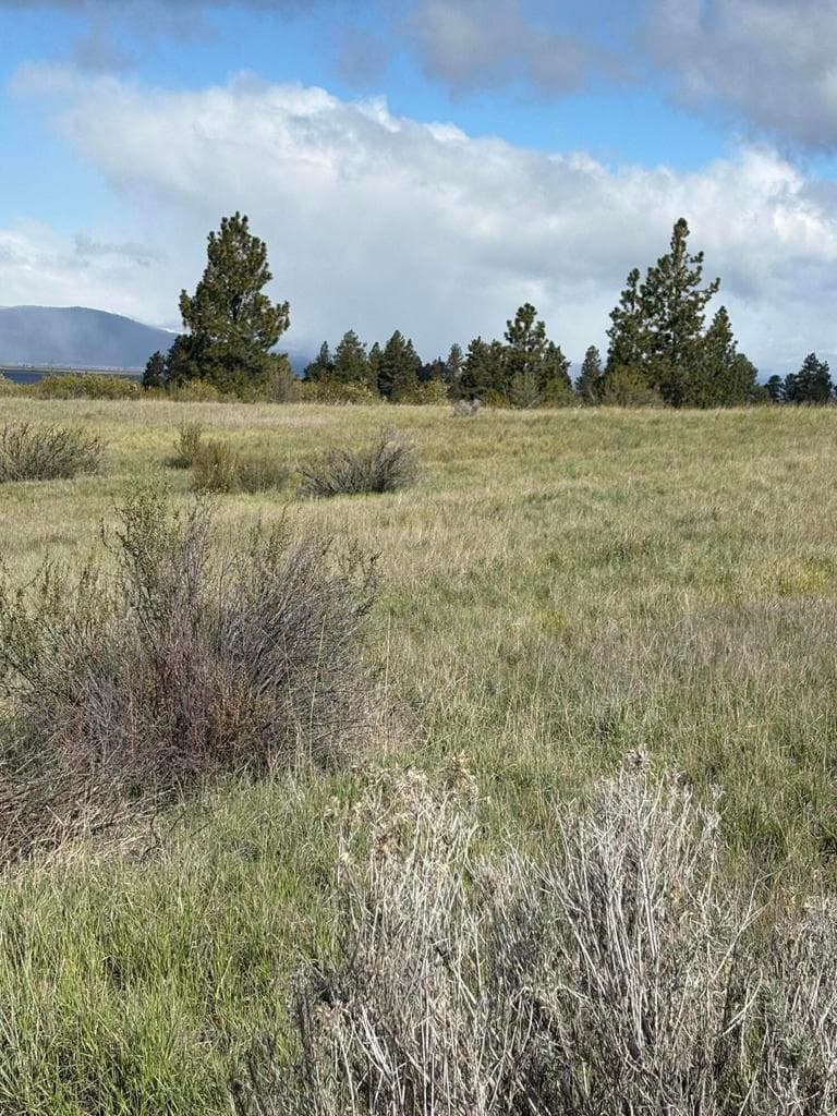 Photo of 0 Maidu 2 of 7