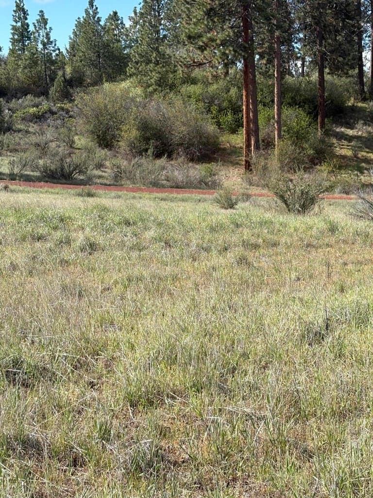 Photo of 0 Maidu 3 of 7