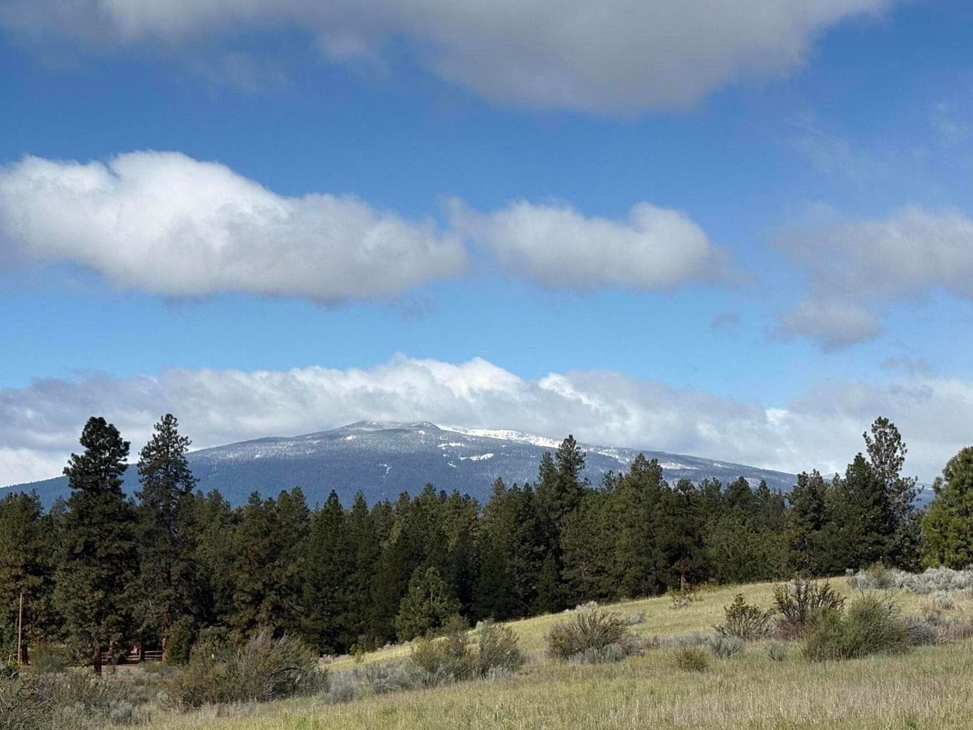 Photo of 0 Maidu 5 of 7
