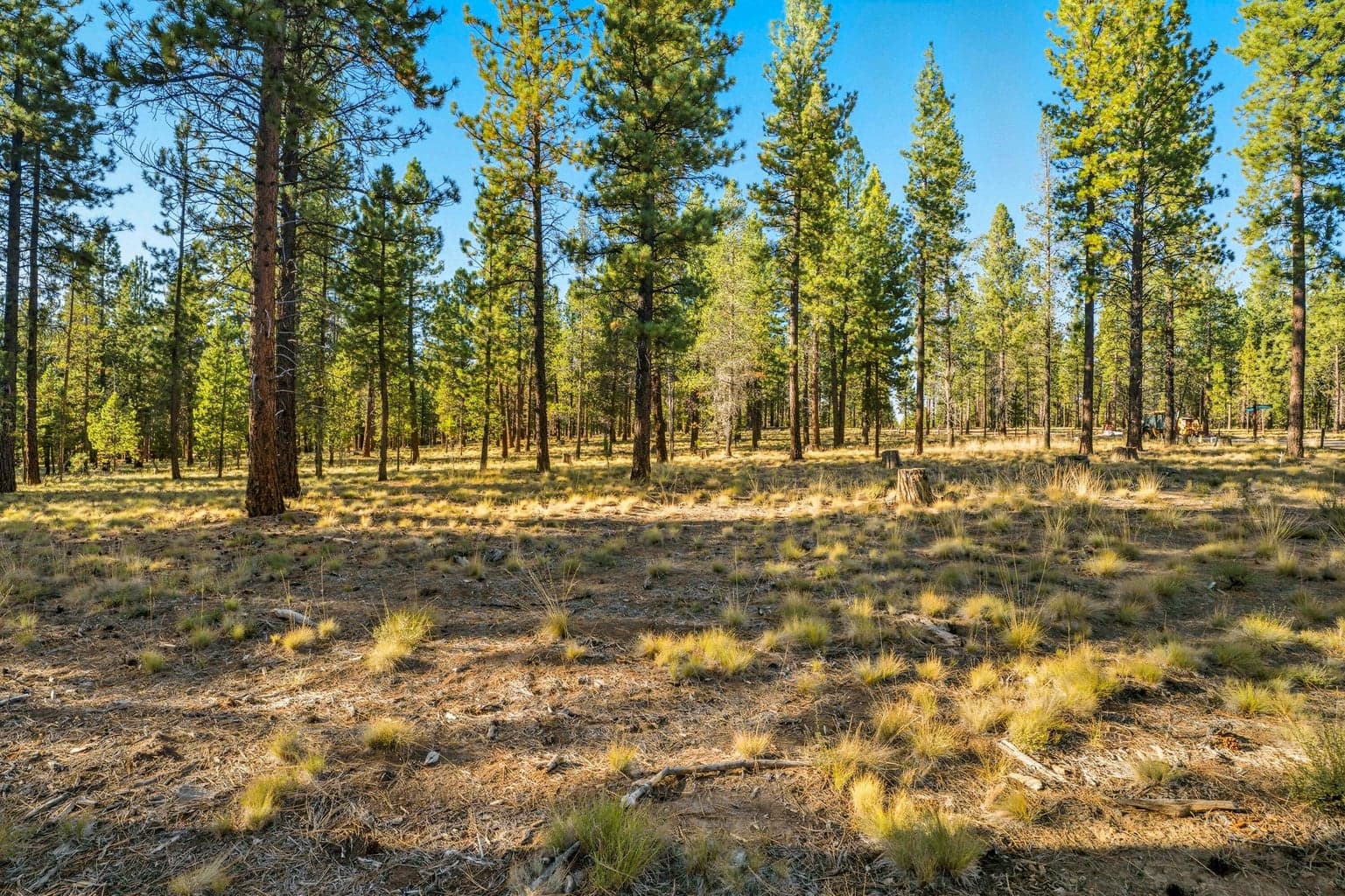 Photo of 56537 Elk Run Drive 2 of 27