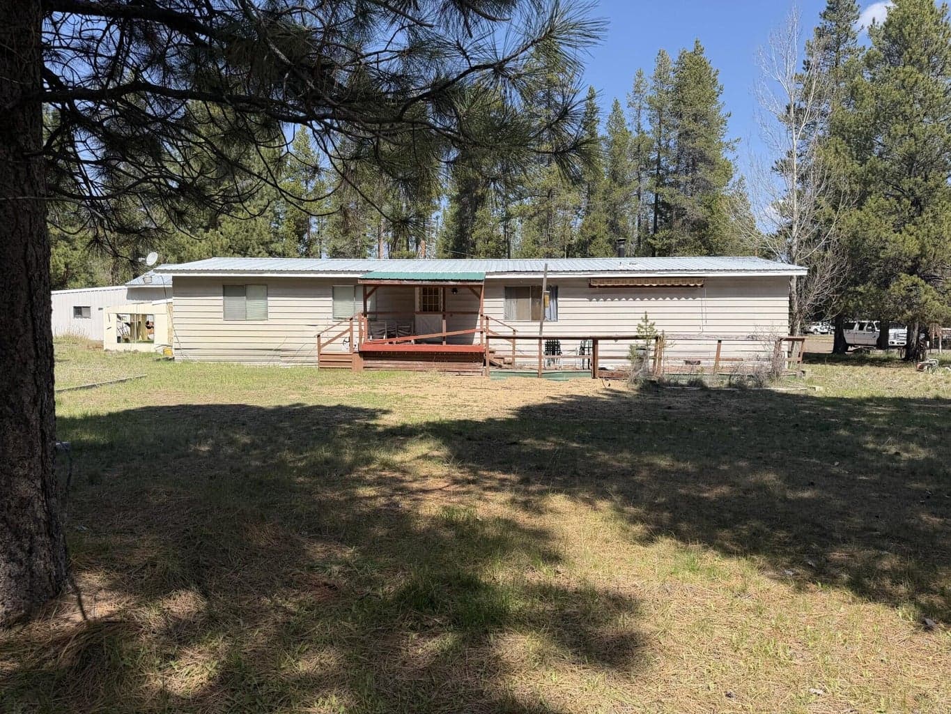 Photo of 51905 Kiwa 1 of 10