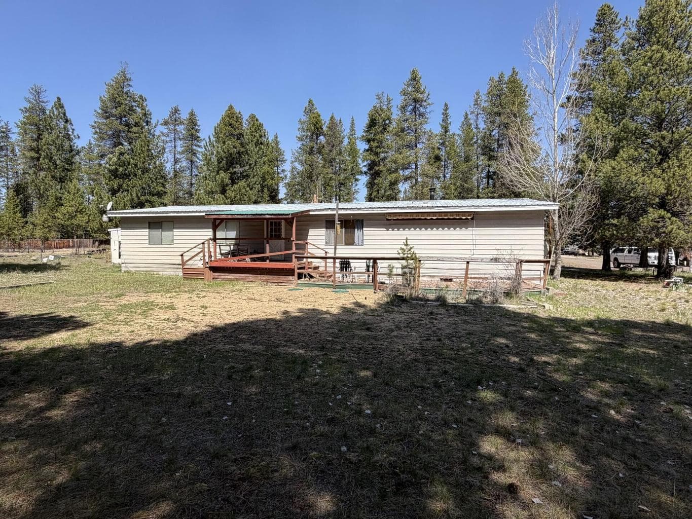 Photo of 51905 Kiwa 3 of 10