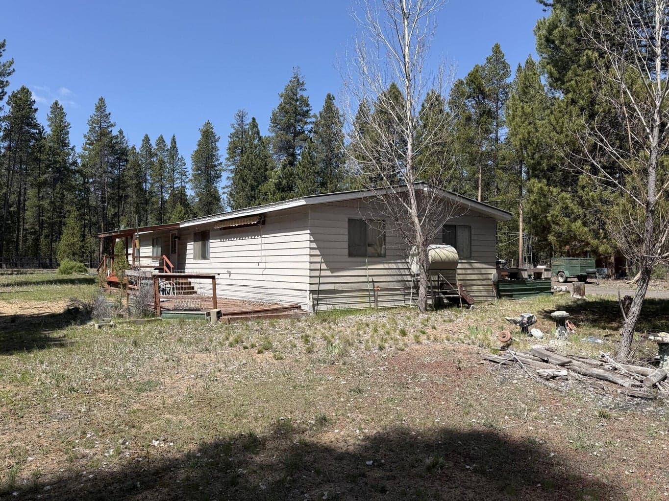 Photo of 51905 Kiwa 2 of 10