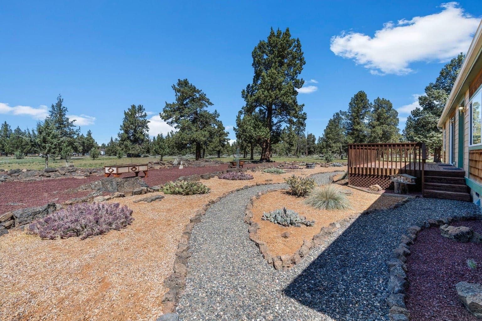 Cacti and rock paths fit nicely in the high desert