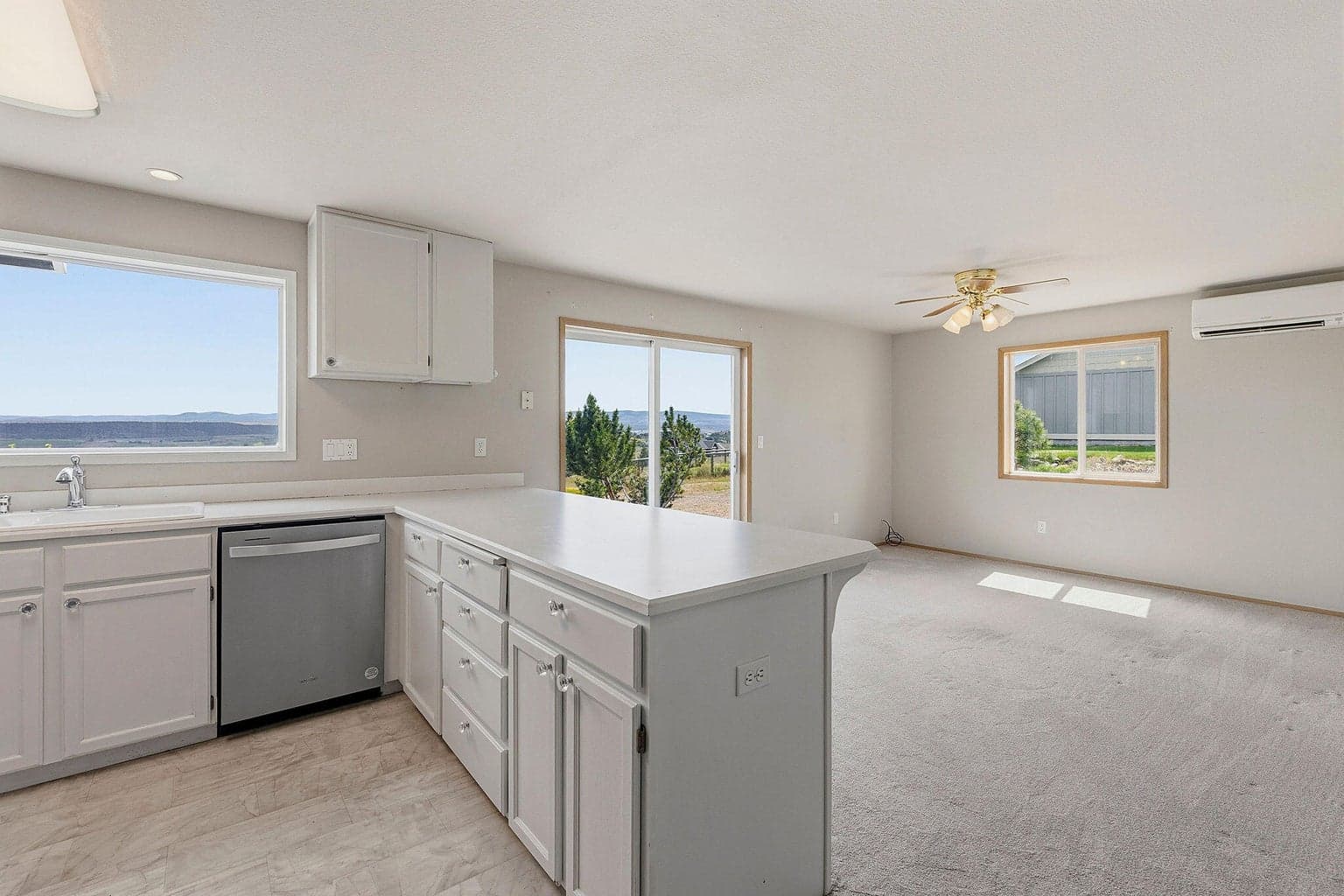 Kitchen and Dining Room
