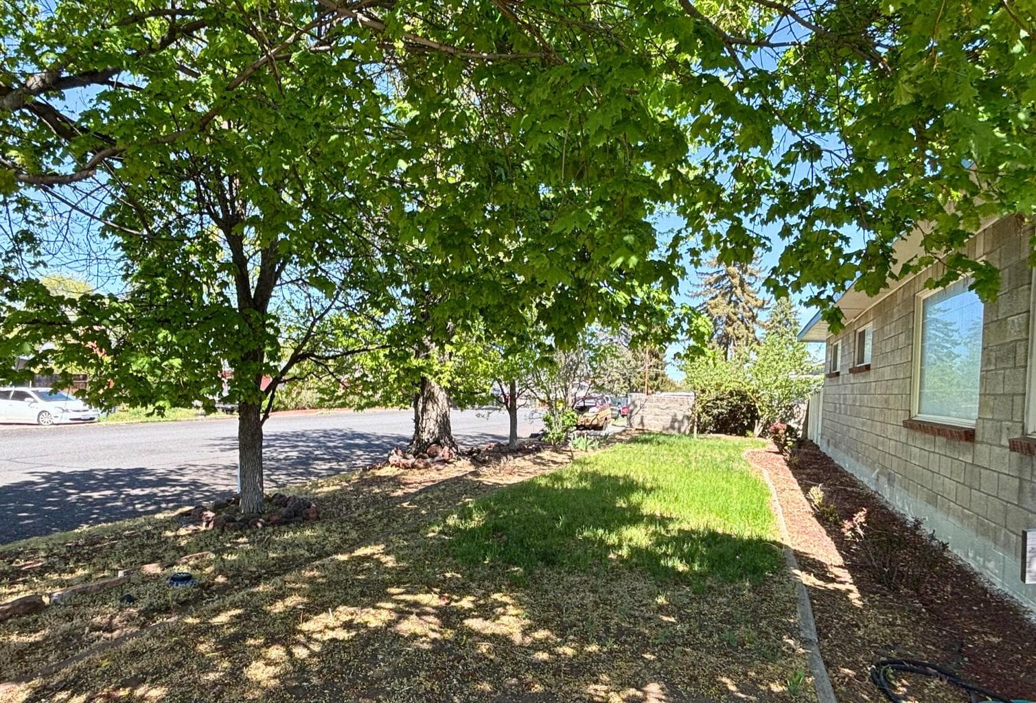 The west side of the house--facing the street