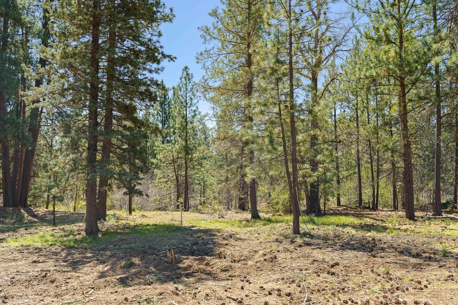Photo of 390 S Timber Creek Drive 9 of 15