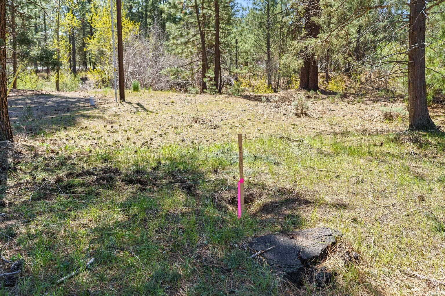 Photo of 390 S Timber Creek Drive 10 of 15