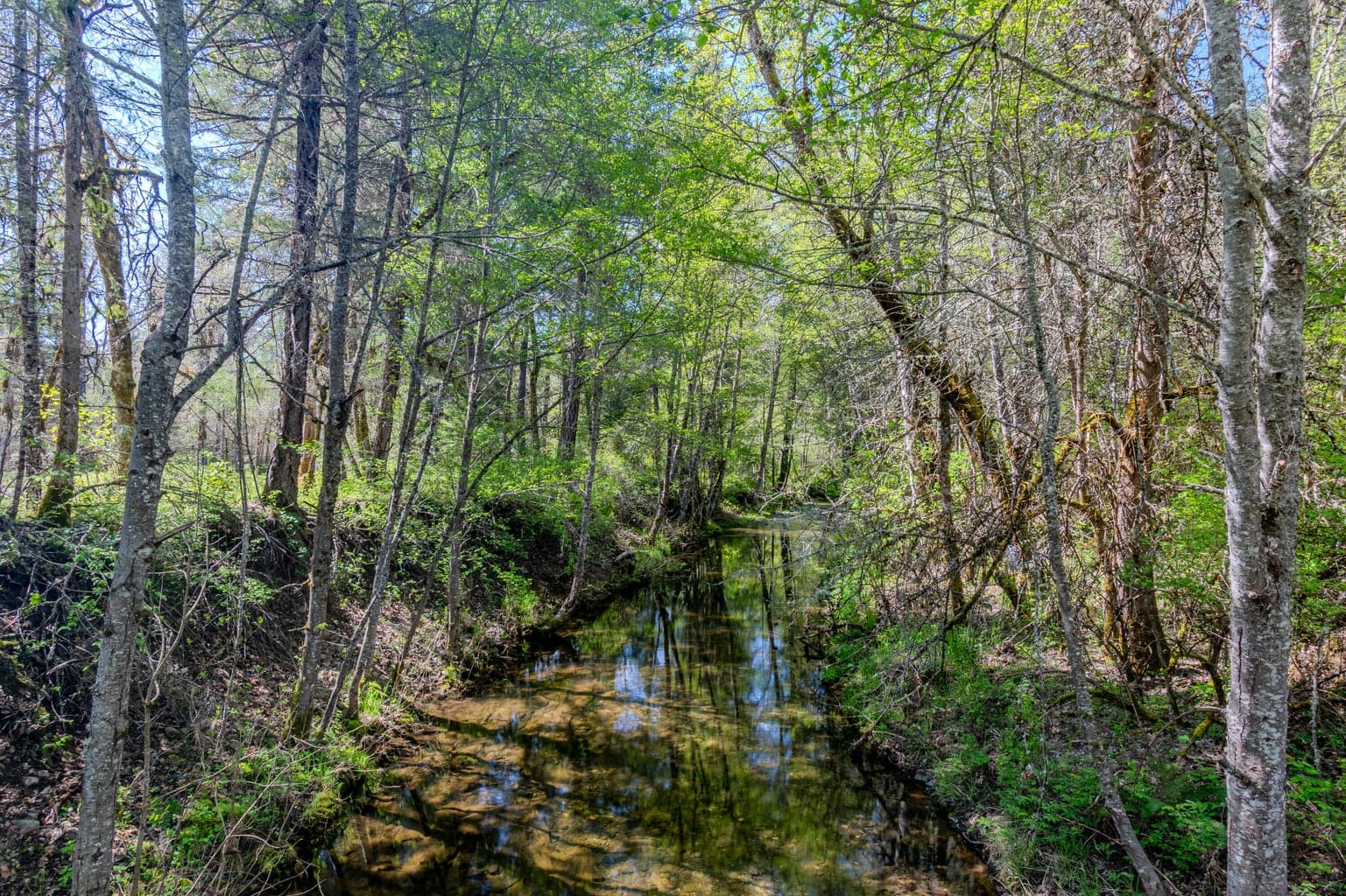 Photo of 23112 Evans Creek 2 of 15