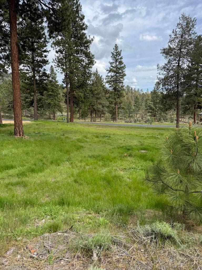 Photo of 1075 Timber Ridge 3 of 5