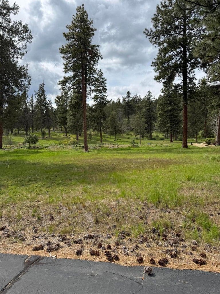 Photo of 1075 Timber Ridge 4 of 5