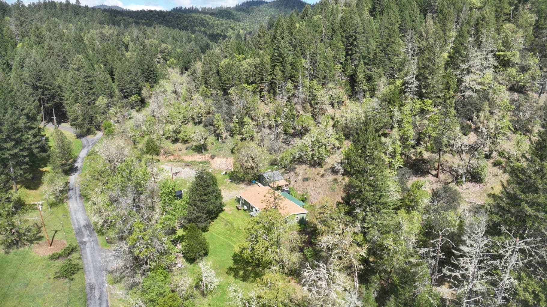 Photo of 331 Newt Gulch 4 of 55
