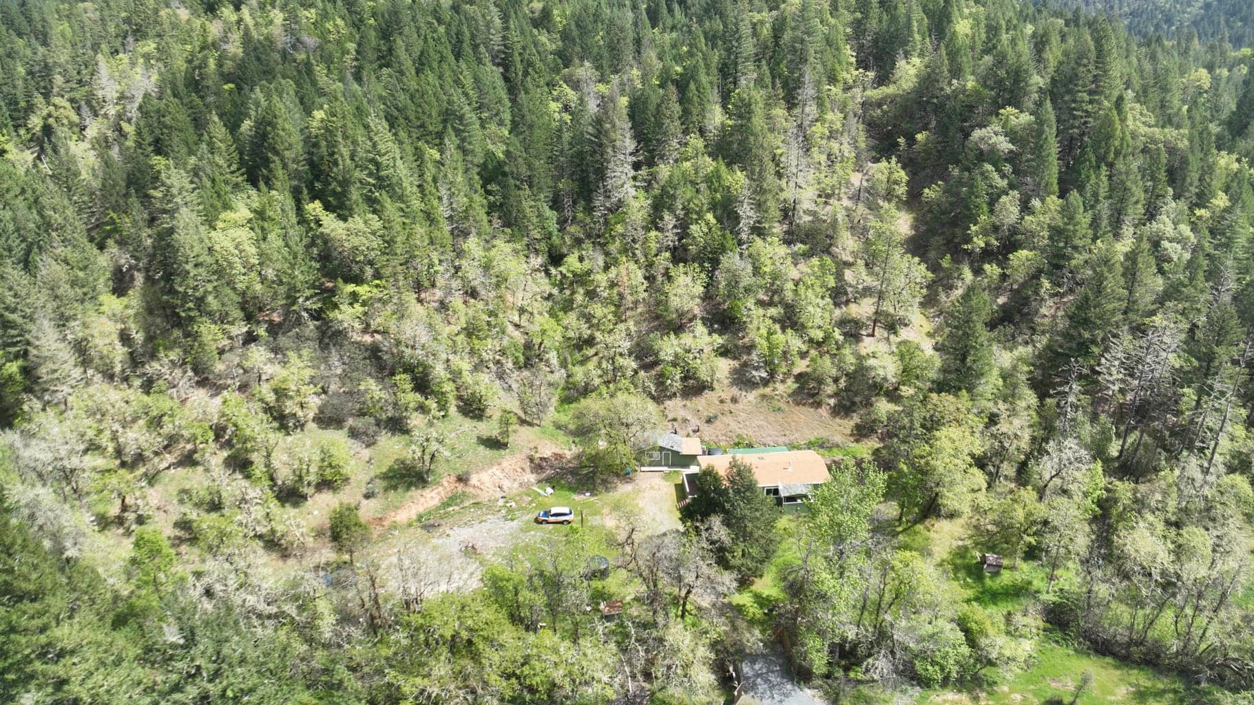 Photo of 331 Newt Gulch 2 of 55