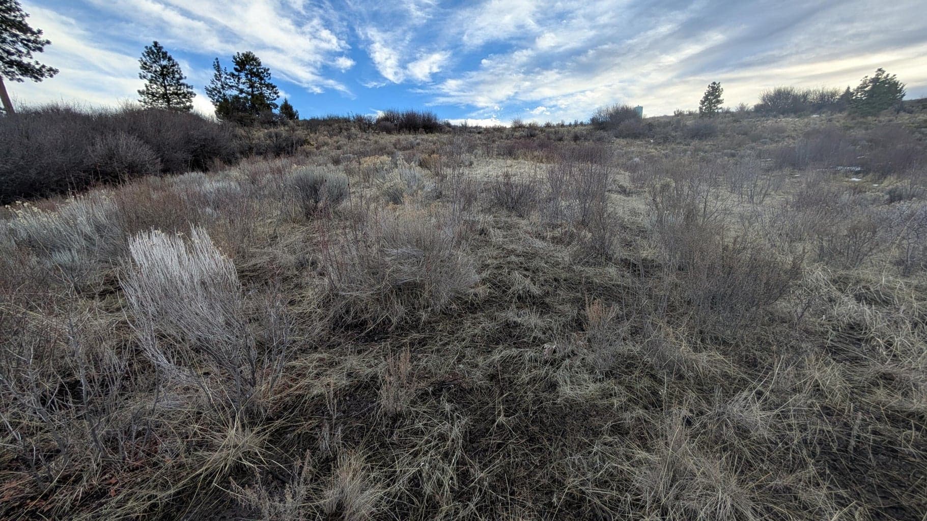 Photo of Treeland 2 of 5