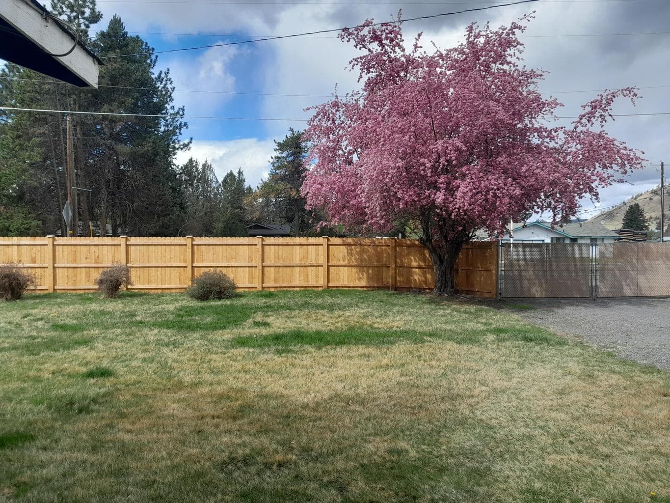 Photo of 61984 Pettigrew Road 22 of 29