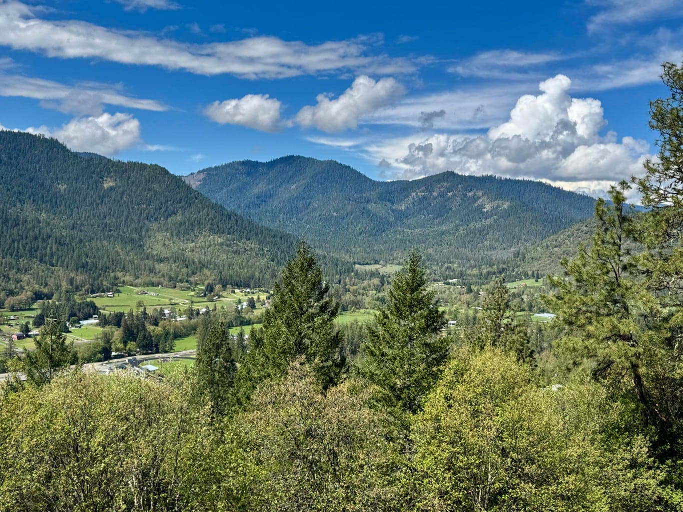 901 Manzanita