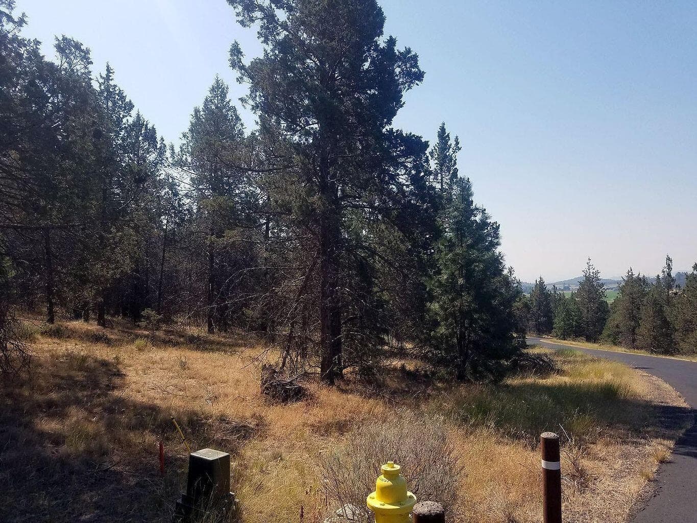 Photo of 1123 Red Willow 4 of 7