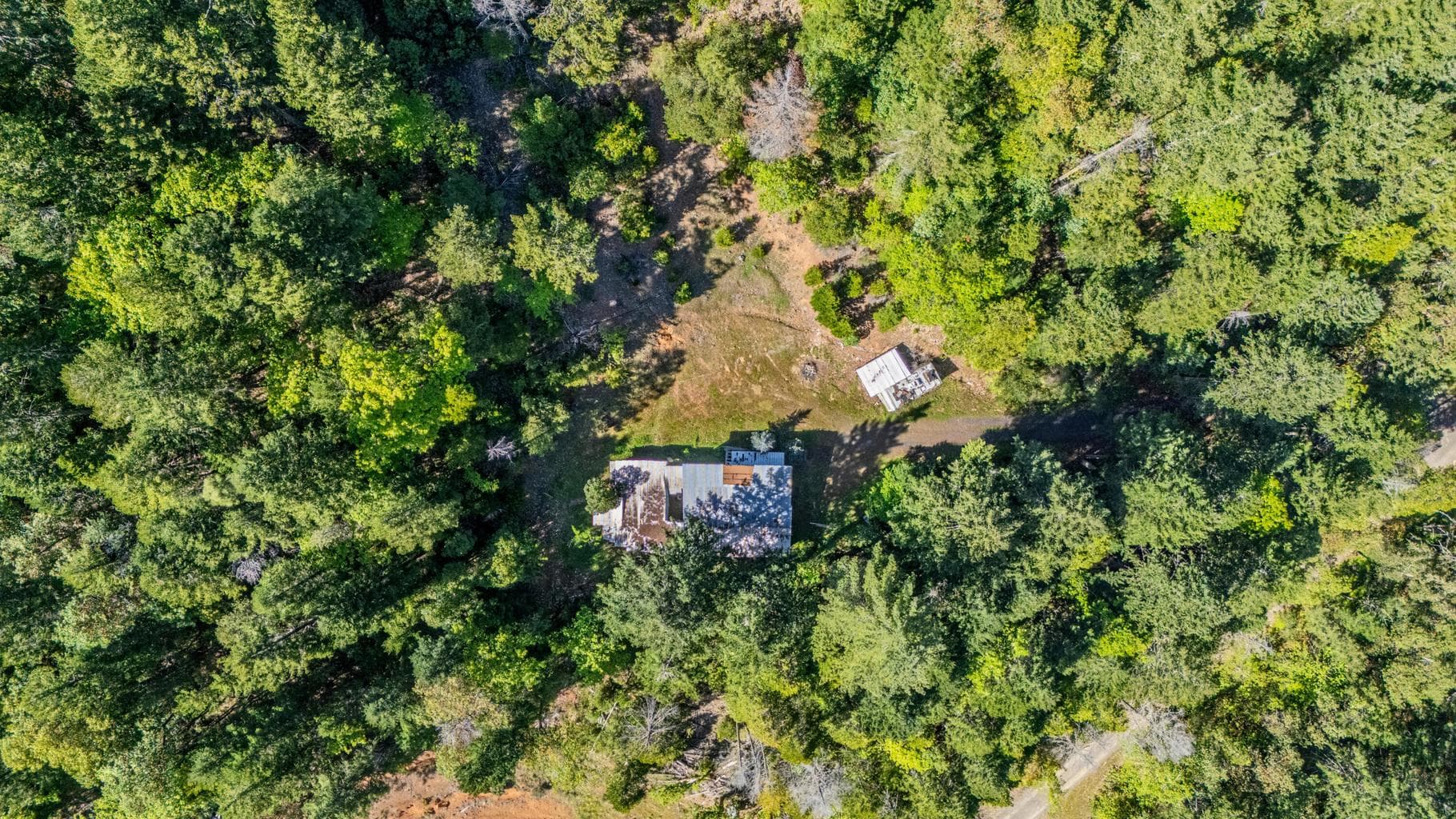 Photo of 1430 Forest Creek 5 of 12