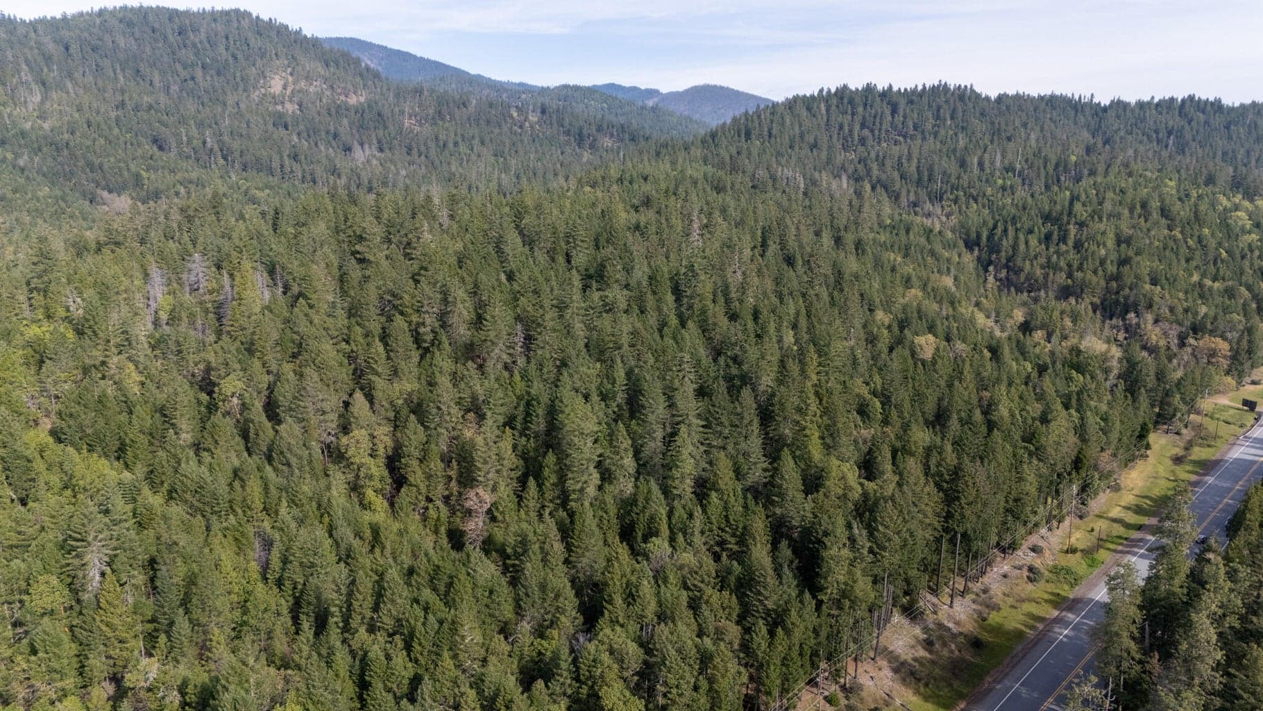 Photo of Redwood 3 of 9